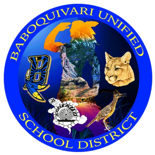 Baboquivari Unified School District #40